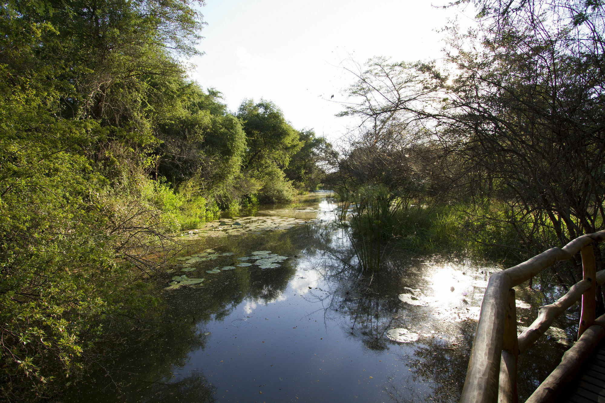 Zambezi Dusk Vila Livingstone Exterior foto